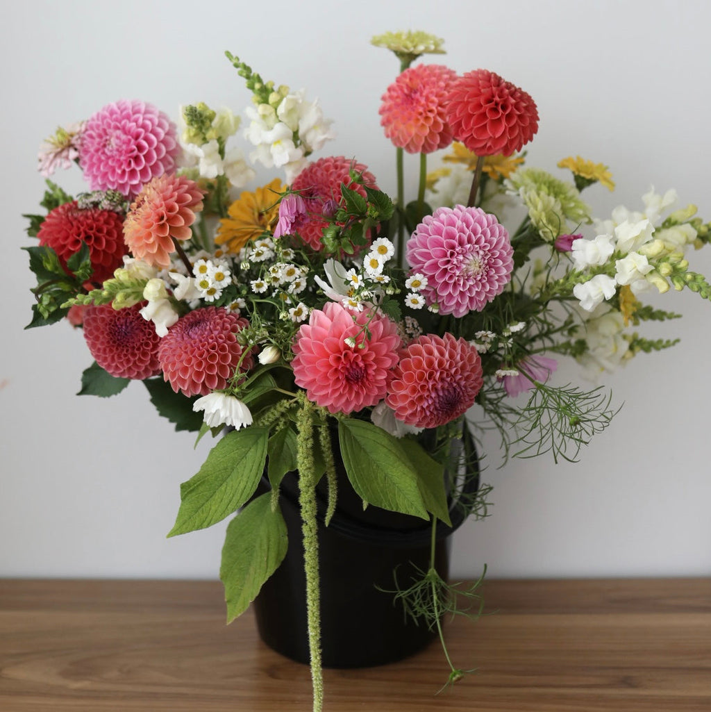 seasonal bloom bucket