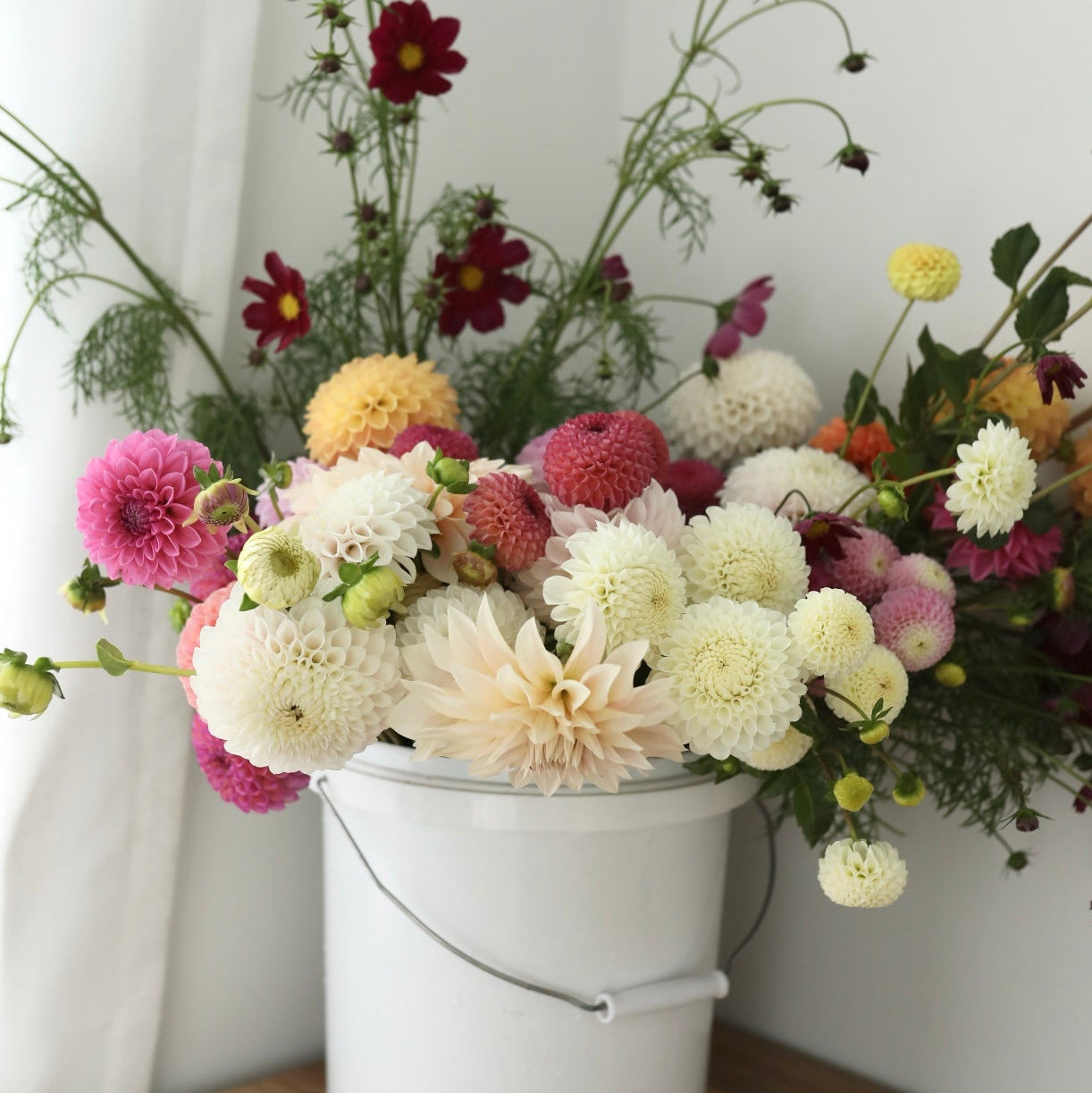 seasonal bloom bucket
