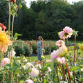 bloom & balance