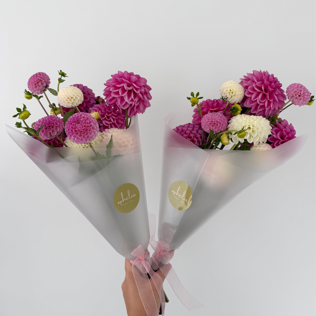 dahlia bouquet